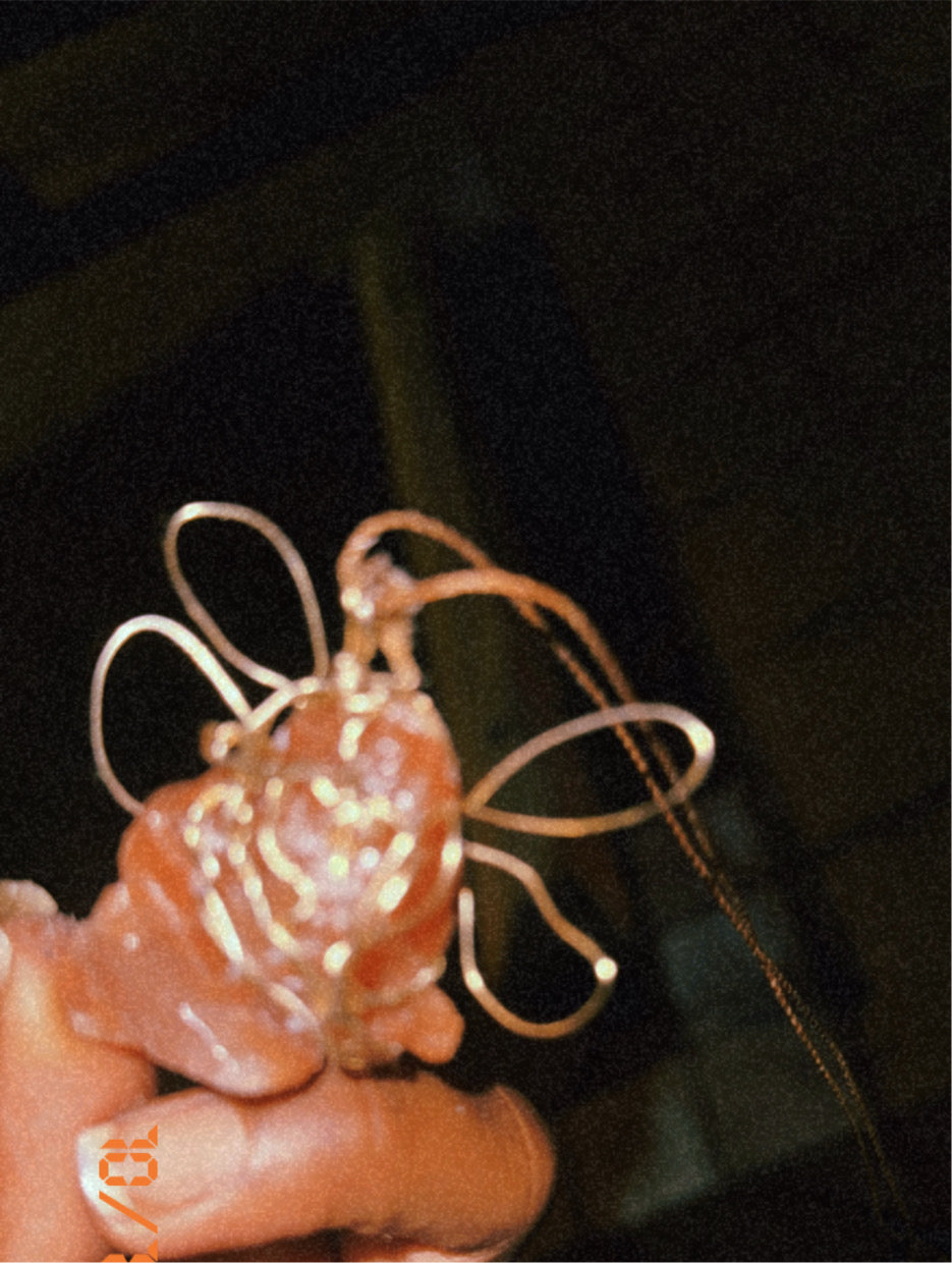 Harmony Butterfly Crystal Necklace