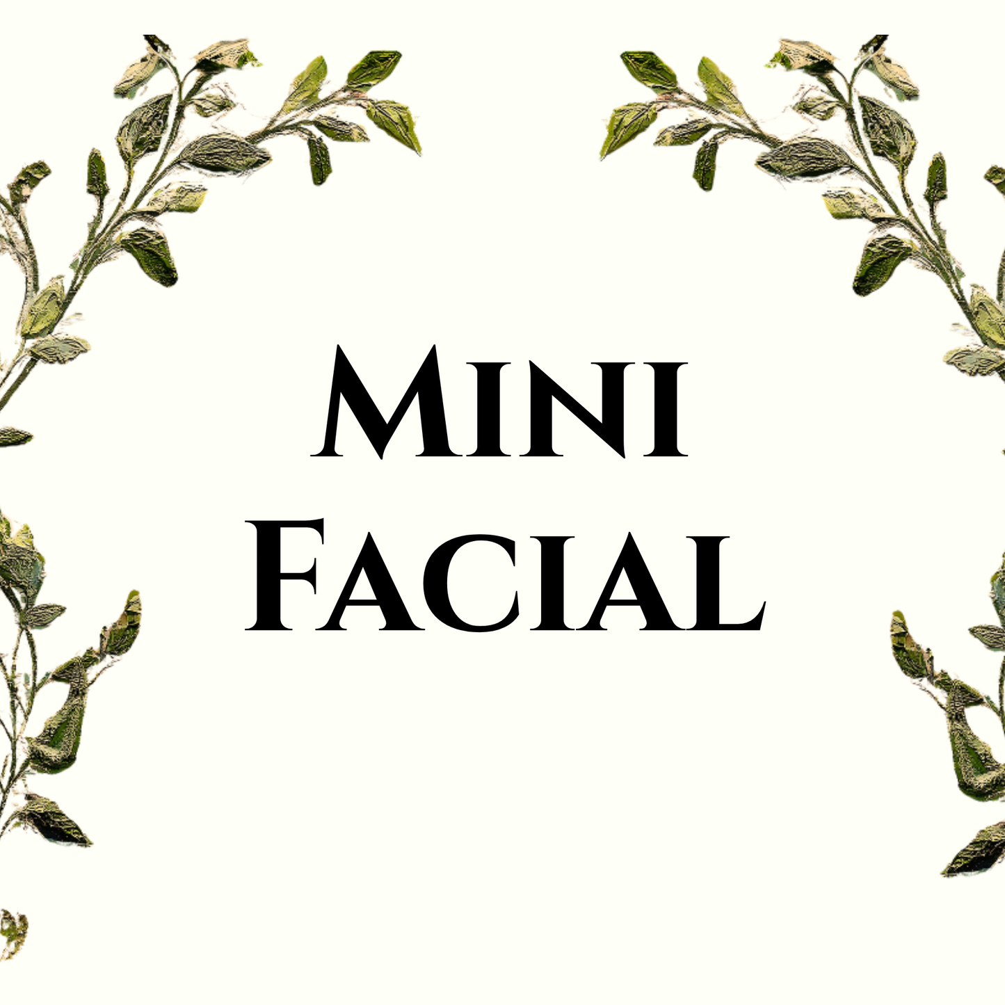 Mini Facial